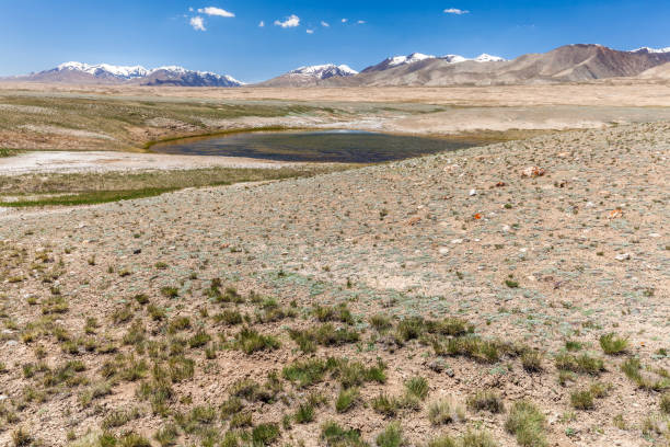istock Barskoon (Arabel) Syrts at Issyk Kul Region 899893292