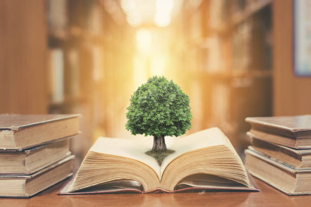 Tree on book in library World philosophy day concept with tree of knowledge planting on opening old big book in library full with textbook, stack piles of text archive and blur aisle of bookshelves in school study class room philosophy stock pictures, royalty-free photos & images