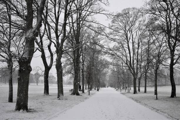 istock Snowy footpath in urban park 899909384