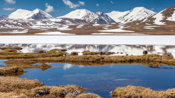 istock Barskoon (Arabel) Syrts at Issyk Kul Region 899914420