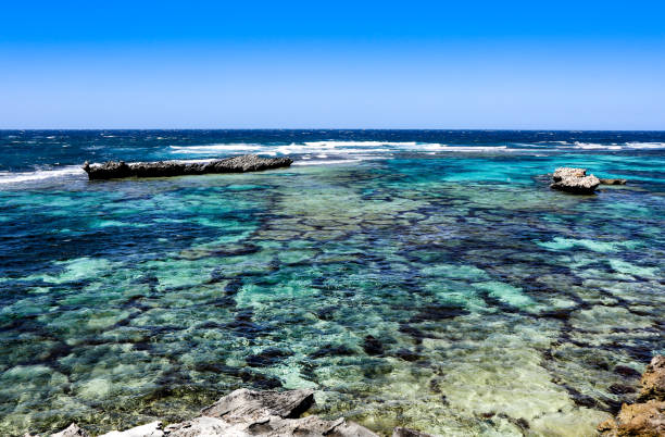 istock Rottnest Island. Western Australia. 899914524