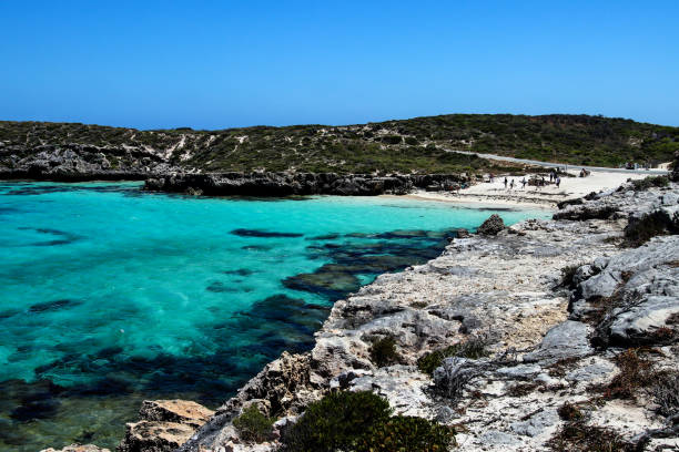 istock Rottnest Island. Western Australia. 899914586