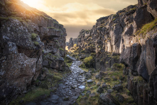 pflasterweg durch pingvellir nationalpark in island - continental divide stock-fotos und bilder