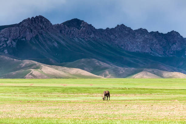 istock Nice view on Sary-Mogul a village 899918106