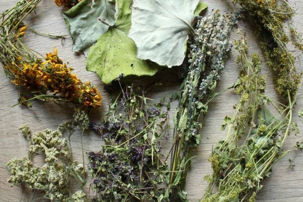 istock Dried medical herbs 899919314