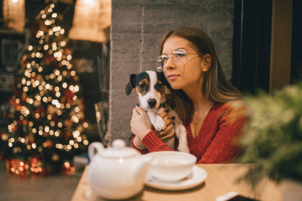 istock With my dog on holidays 899923324