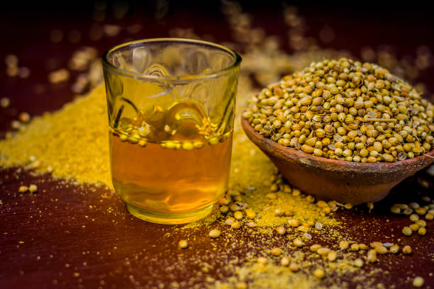 close up of water of coriandrum sativum,coriander with its powder. - coentro imagens e fotografias de stock