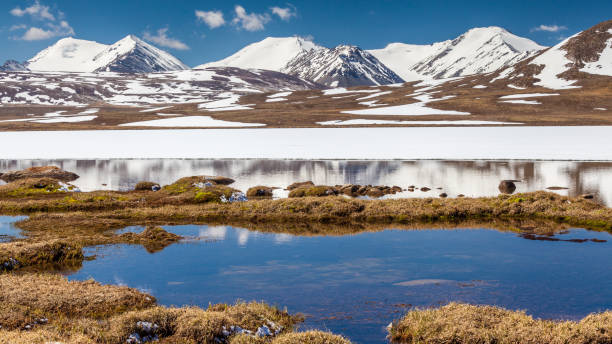 istock Barskoon (Arabel) Syrts at Issyk Kul Region 899931666