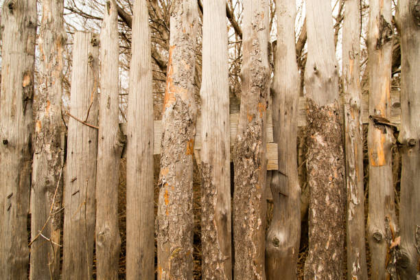 istock Wooden boards on a fence as a background 899931874
