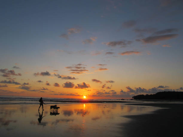 A woman and her dog walking across Playa Uvita at sunset stock photo
