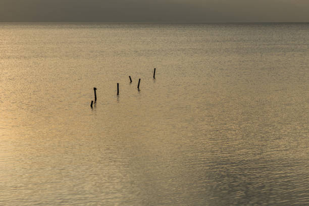 istock poles in a calm lake 899939200