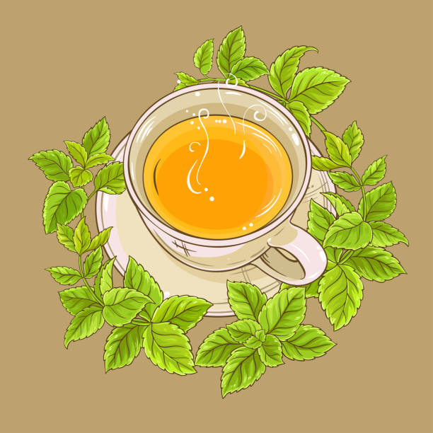 чашка чая мелисса - green tea tea scented mint stock illustrations