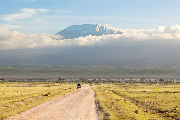 Kilimanjaro with snow cap stock photo