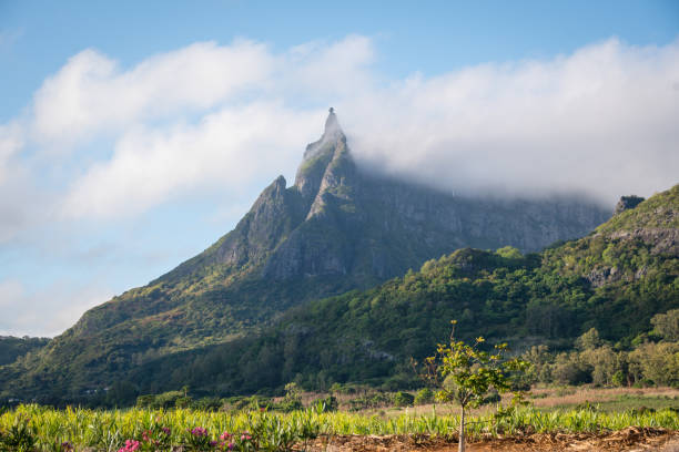 istock Pieter Both mountain, landmark of Mauritius 899946600