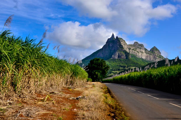 Pieter Both mountain, landmark of Mauritius