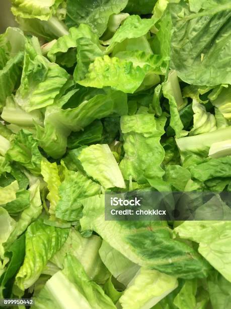 Chopped Romaine Lettuce Stock Photo - Download Image Now - Romaine Lettuce, Lettuce, Chopped Food
