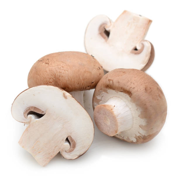 istock champignon mushrooms Champignon Isolated on White Background 899951866