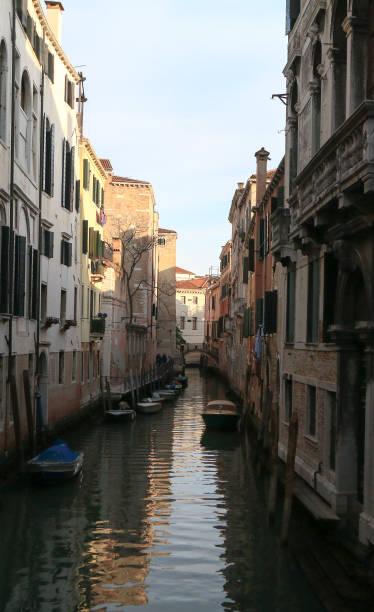 istock Venice in the Veneto, Italy 899954728