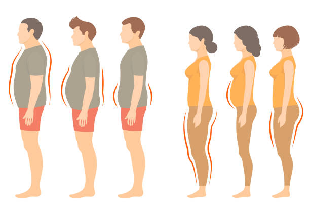obesity woman and man body type vector art illustration