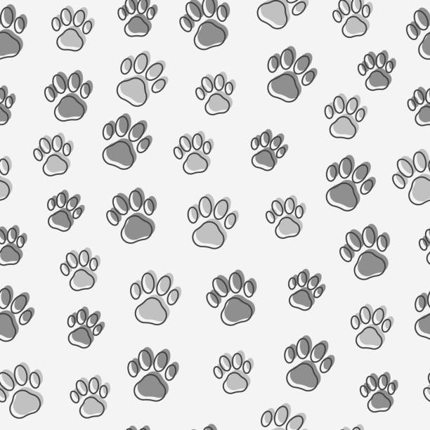 犬や猫の足シームレスなパターン。ペットショップの背景に細線ベクトルイラスト。 - dog paw print paw print点のイラスト素材／クリップアート素材／マンガ素材／アイコン素材