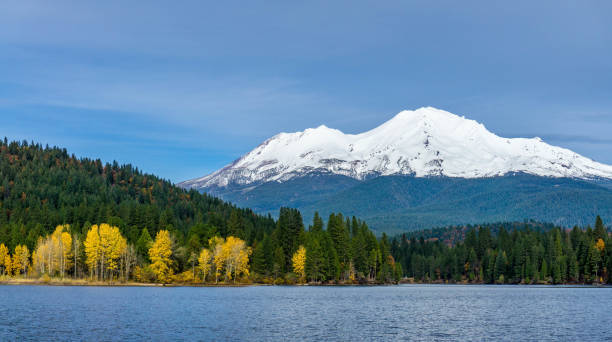 Mt. Shasta in autumn above Lake Siskiyou Mt. Shasta in autumn above Lake Siskiyou siskiyou lake stock pictures, royalty-free photos & images