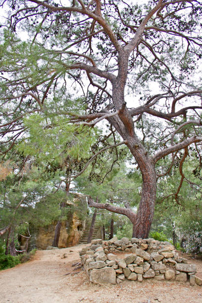 Altar of zeus