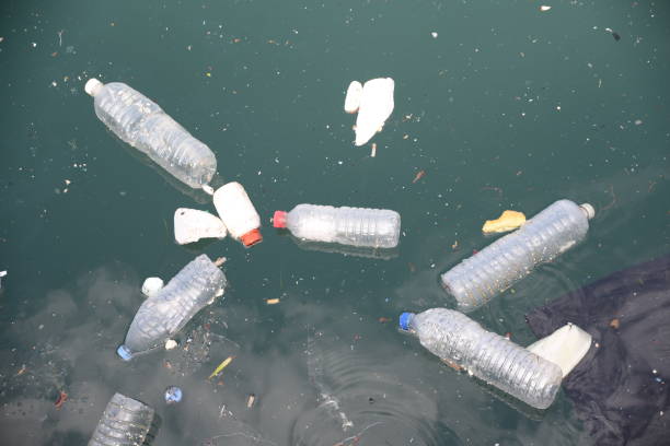istock Rubbish in the sea 899968964