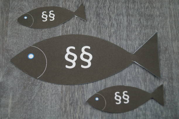 istock Fishing laws and regulations 899969466