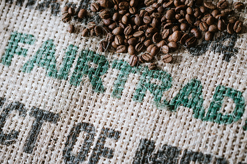 Freshly roasted single origin coffee beans from Mexico lay on a rustic burlap sack.  The words 