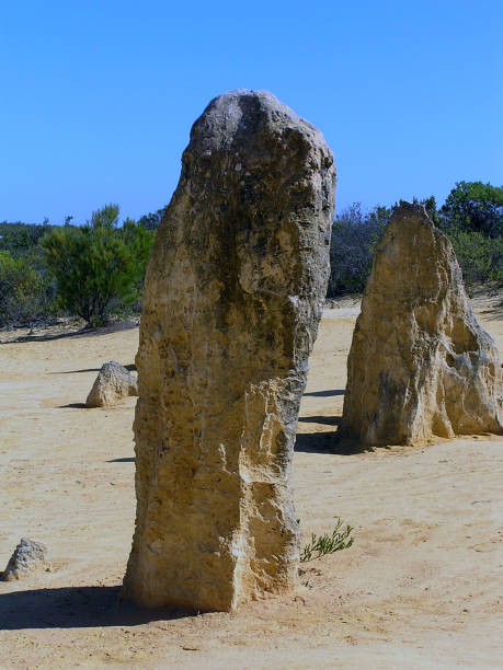 istock Nambung National Park -The Pinnacles Desert Australia 899973366
