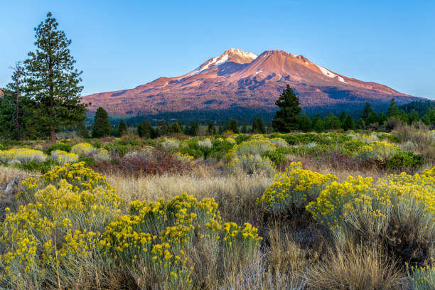 istock Mt. Shasta in Late Afternoon 899973626