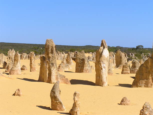 istock Nambung National Park -The Pinnacles Desert Australia 899980746