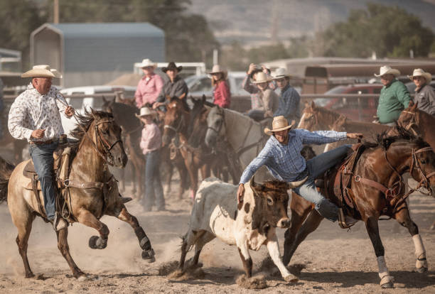 istock A brave cowboy participating in the Steer wrestling rodeo event. 899985918