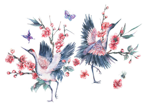 istock Watercolor crane and blooming branches of cherry 899993778