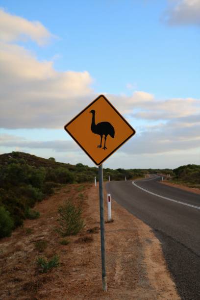 istock Attention Emu Traffic Sign in Australia 899994946