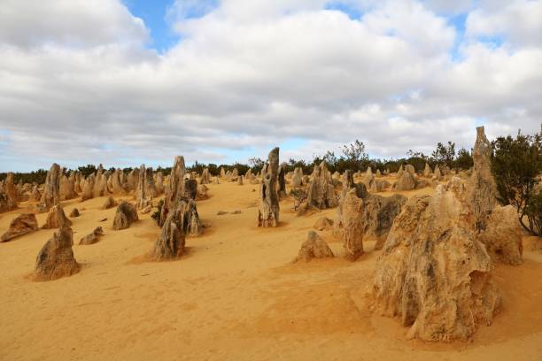 the pinnacles desert in western australia - nambung national park imagens e fotografias de stock