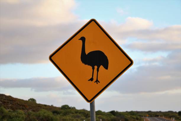 istock Traffic Sign Attention Emu, Australia 899998762