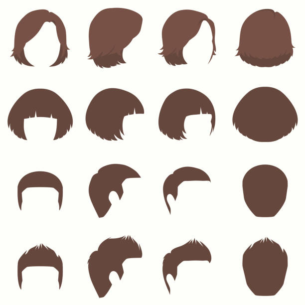 illustrations, cliparts, dessins animés et icônes de cheveux, silhouette coiffure vector, dossier avant et côté vue - hair bun hairstyle women hair back