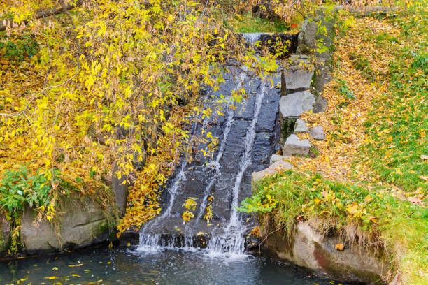istock Current stream in the stone bed. Autumn landscape 900005828