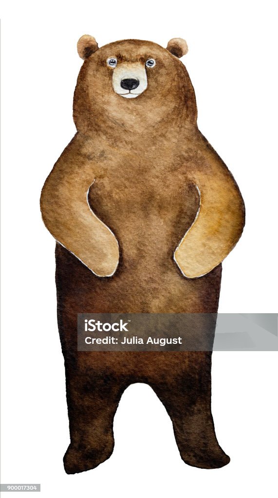 Big brown bear character portrait. Front view, looking at camera, whole body. Symbol of power, strength, healing, earthly instincts. Hand drawn watercolour paint, isolated on white background. Bear stock illustration