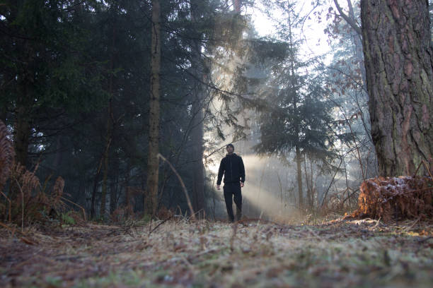 istock Man arriving on forest foot path lit by sunbeams 900025486