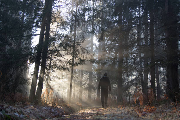 istock Man leaving on forest foot path lit by sunbeams 900025530