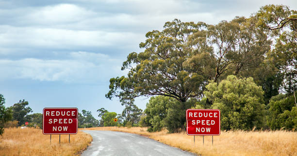 Outback at Dubbo New South Wales Australia