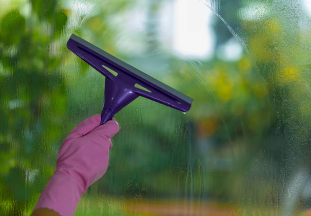 istock women cleaning house 900051340