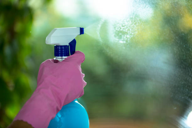 women cleaning house