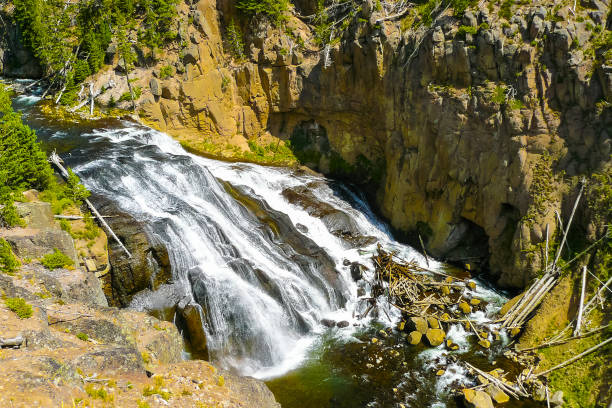istock Yellostone Park Riverside river Gibbon Falls 900071970