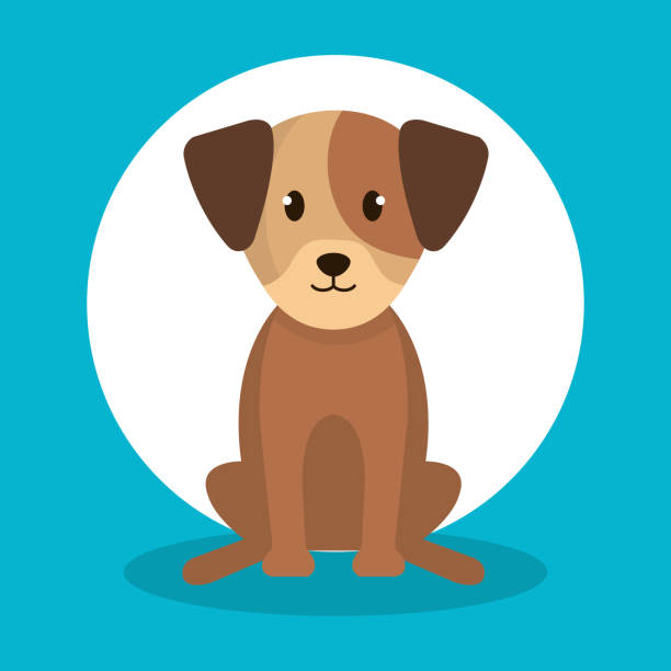 ilustraciones, imágenes clip art, dibujos animados e iconos de stock de icono aislado del perro lindo - perro fotos