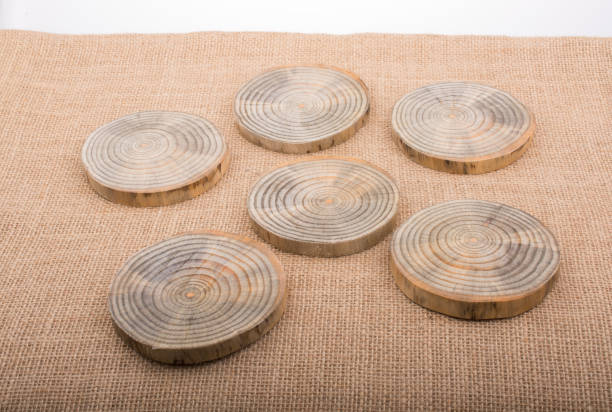 istock Wood Logs cut in round thin pieces 900097488