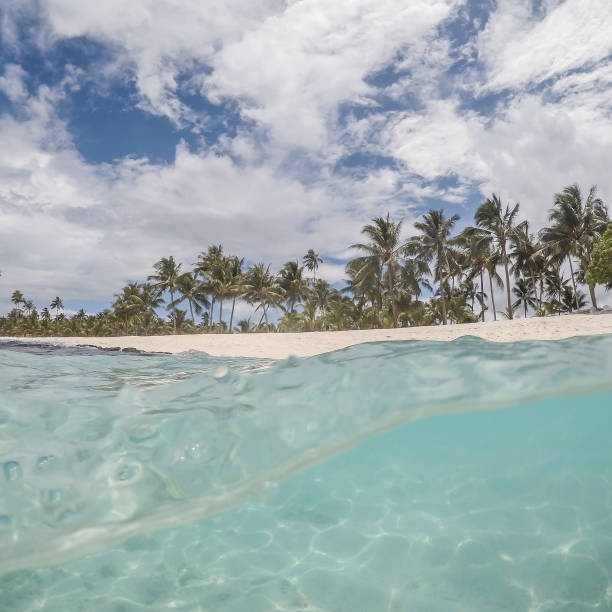 split view of beautiful beach on upolu island in samoa with palm trees and clear transparent turquoise sea of south pacific ocean. - south pacific ocean island polynesia tropical climate imagens e fotografias de stock