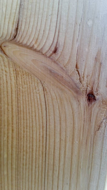 Aged Wood Texture stock photo